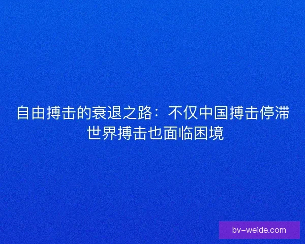 自由搏击的衰退之路:不仅中国搏击停滞 世界搏击也面临困境 自由搏击的衰退之路:不仅中国搏击停滞 世界搏击也面临困境