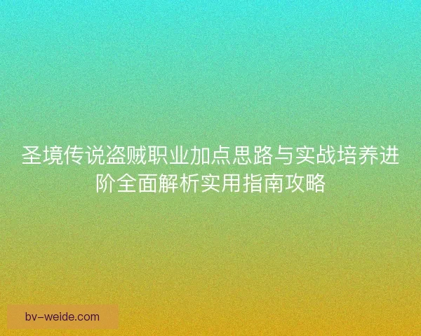 圣境传说盗贼职业加点思路与实战培养进阶全面解析实用指南攻略